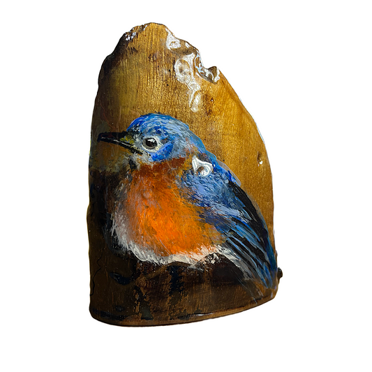 Texas Blue Bird Acrylic and Black Walnut Image 1