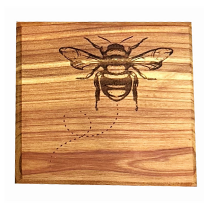 Cedar Bumblebee Coaster Set of 4 Image 3